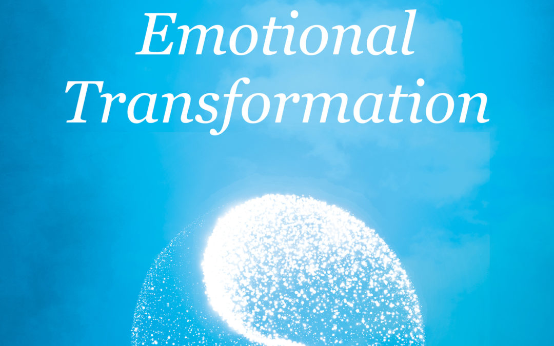 “d.i.y. zen and The Art of Gentle Emotional Transformation”