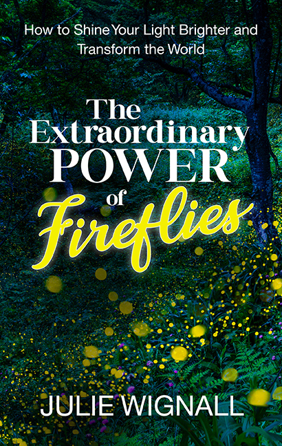 “The Extraordinary Power of Fireflies”